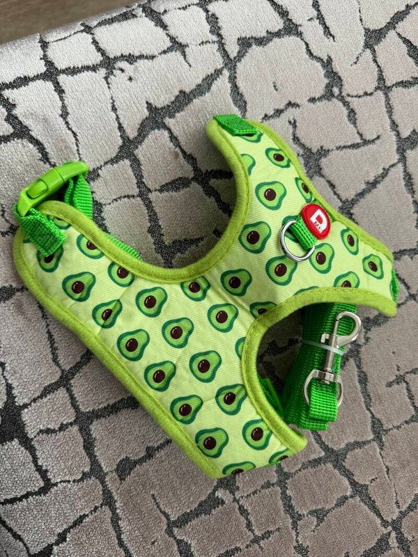 AVOCADO HARNESS & LEAD SET