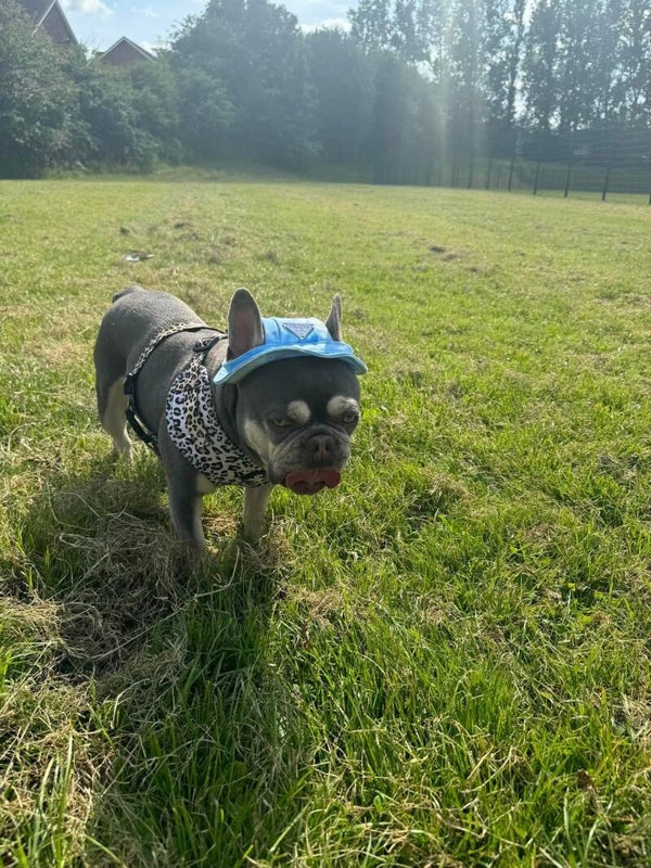 PAWDA HATS