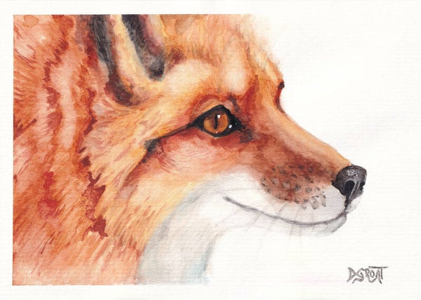 Portrait of a Fox