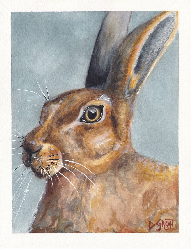 Portrait of a Hare