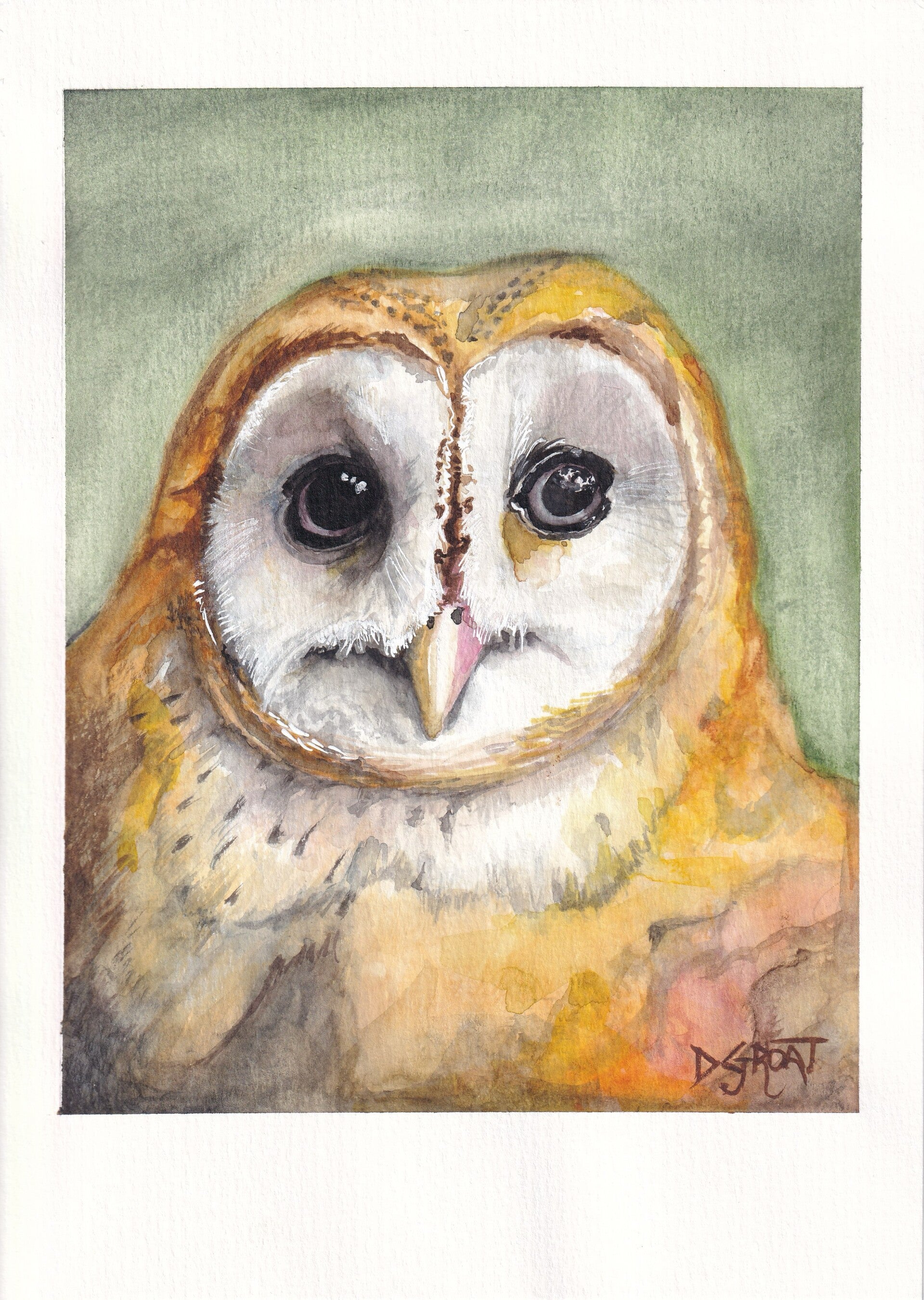 Portrait of an Owl