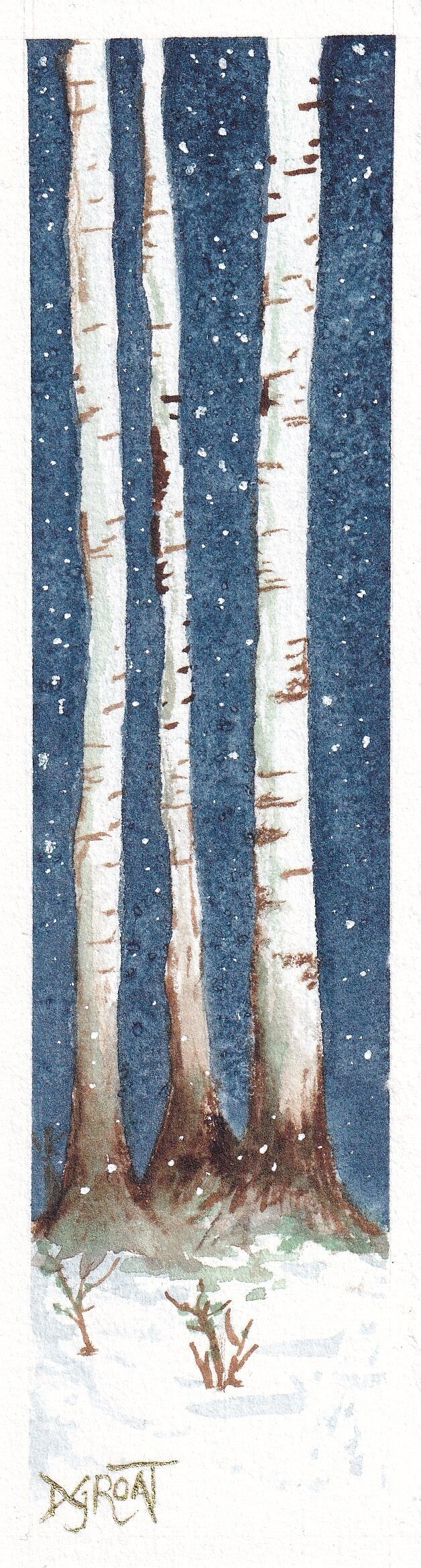 Silver Birch