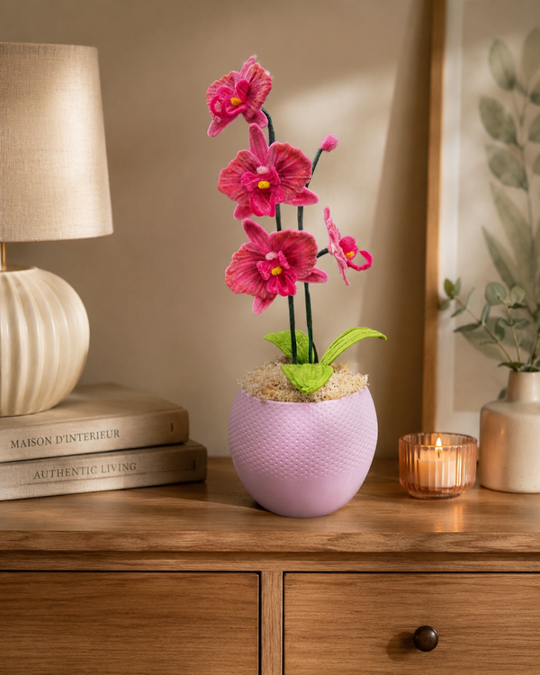 Orchidée rose gamme élégance