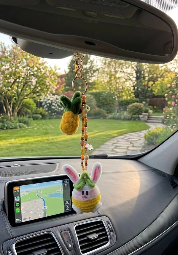 Lapin ananas