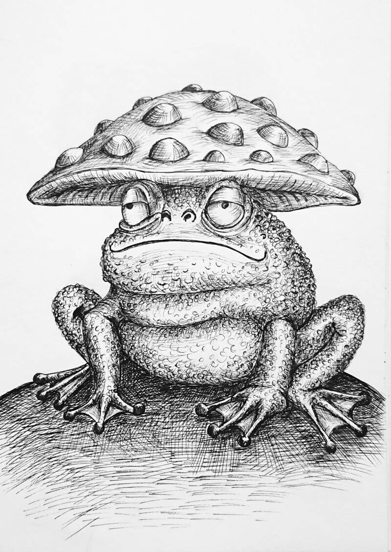 toad.jpg