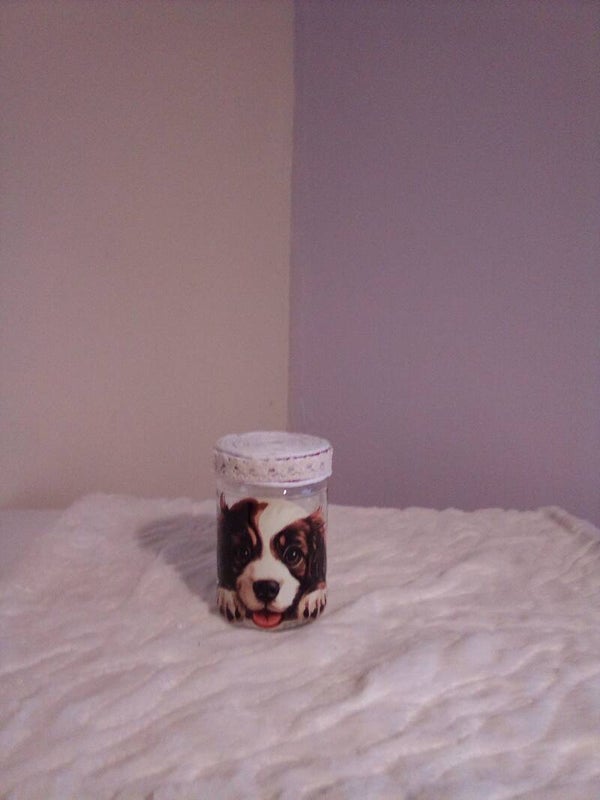 Dog Treat Jar