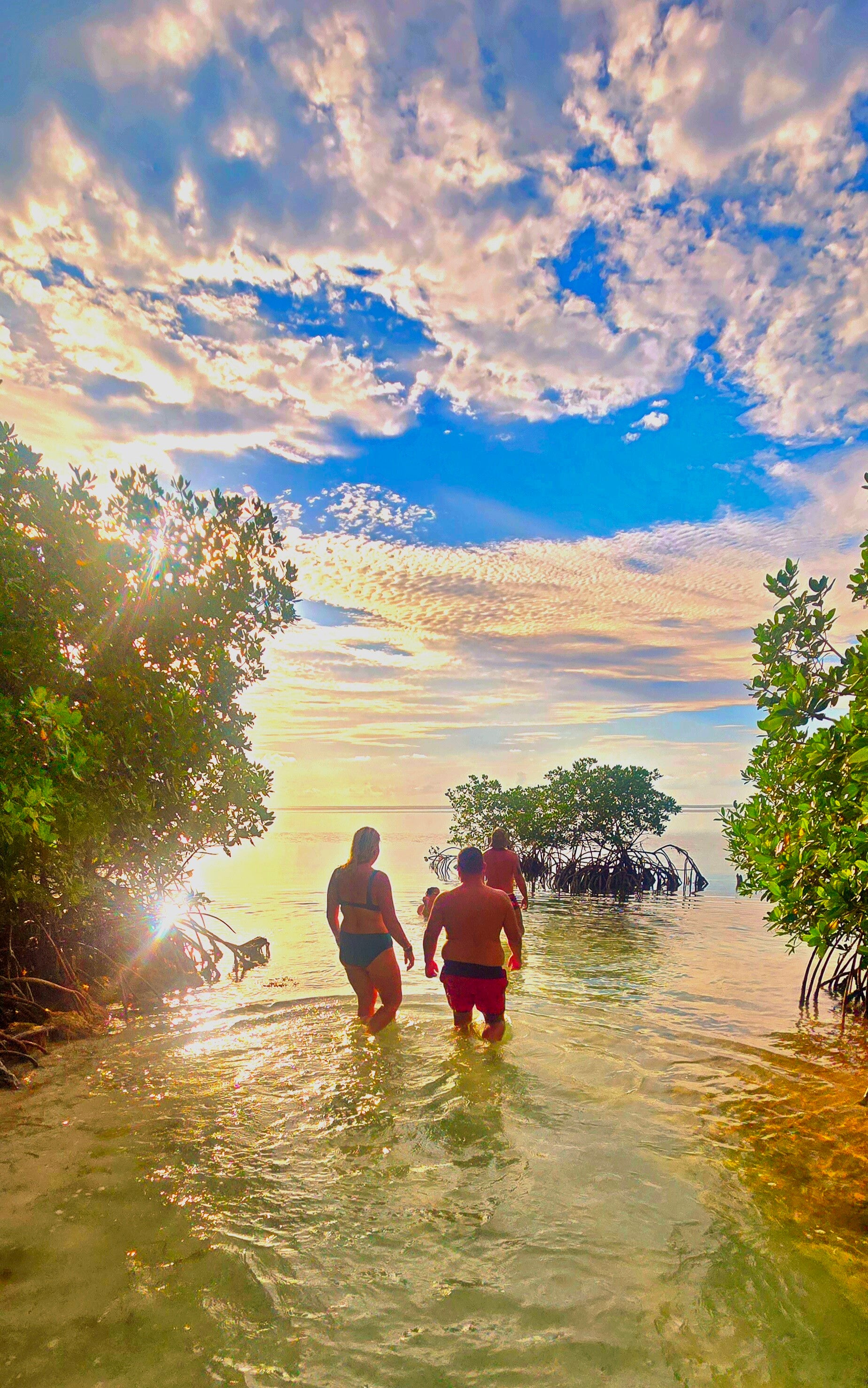 Sunset Cruise / Take me to Paradise | Paradise Sandbar Adventures