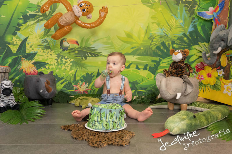 Cakesmash eersteverjaardag Weert Limburg Eindhoven Nederweert Budelsetting babyfotograaf kinderfotograaf eerstverjaardag hoera een jaar 
