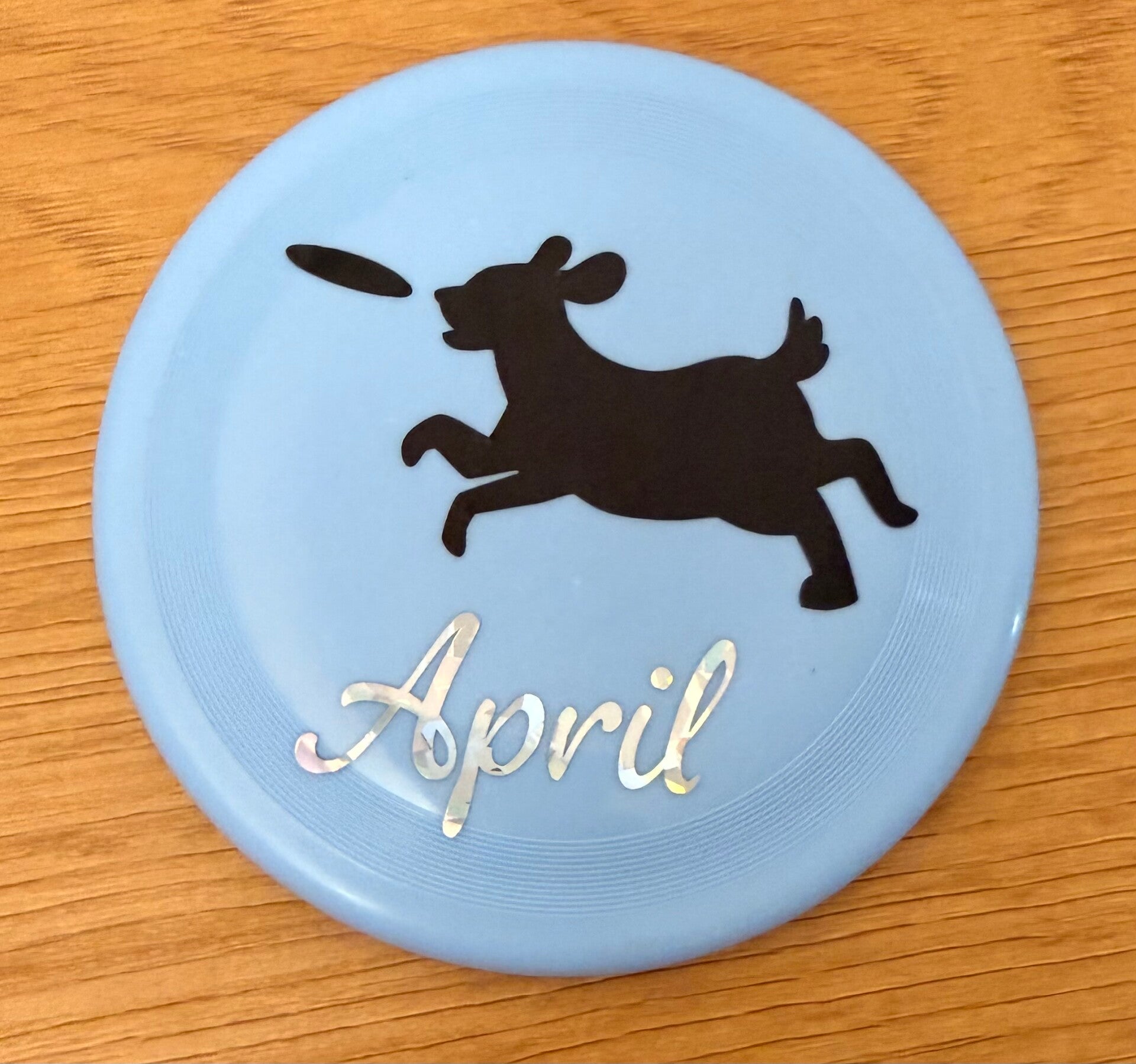 Frisbee chien personnalisé