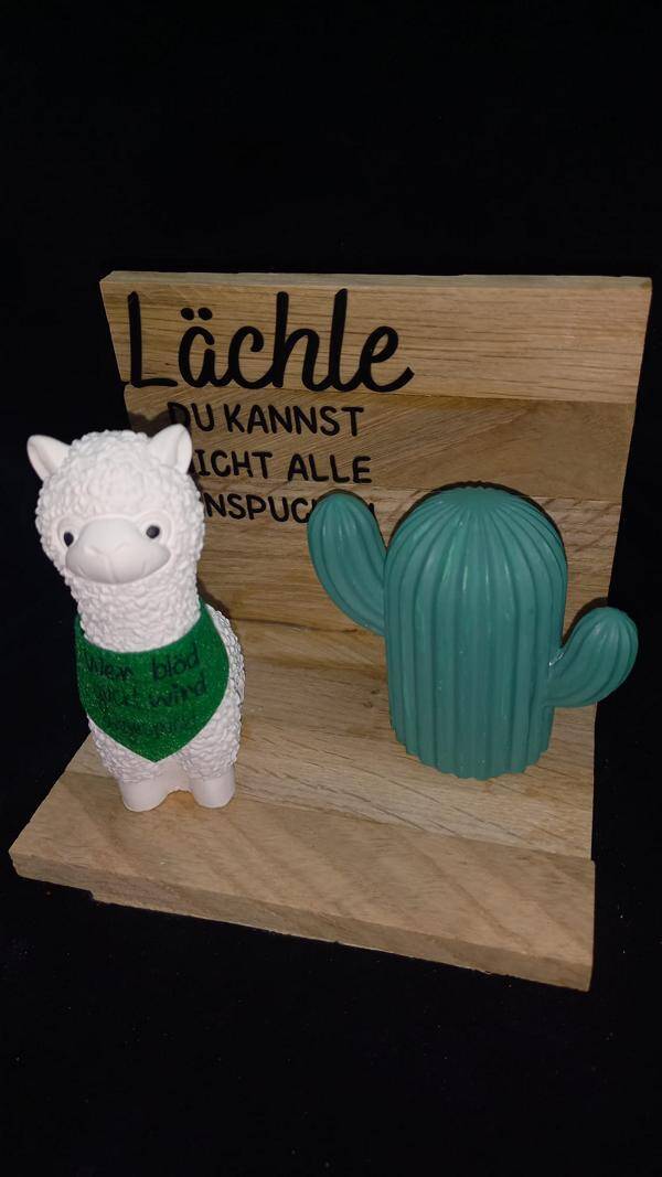 Alpaka auf Holzterrasse
