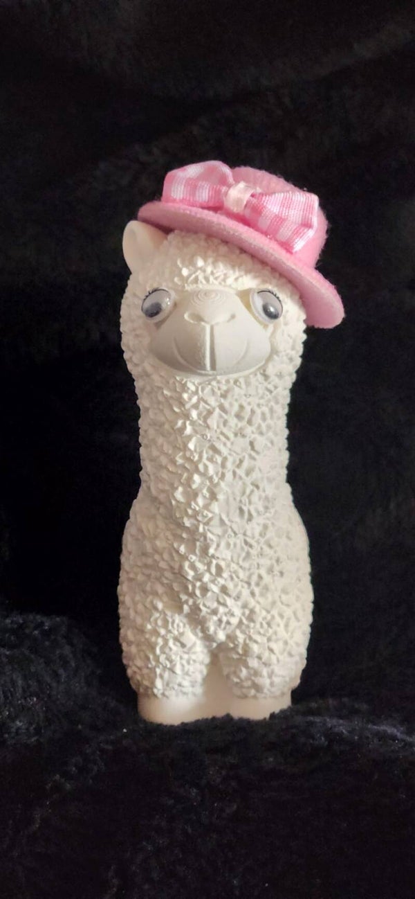 Alpaka