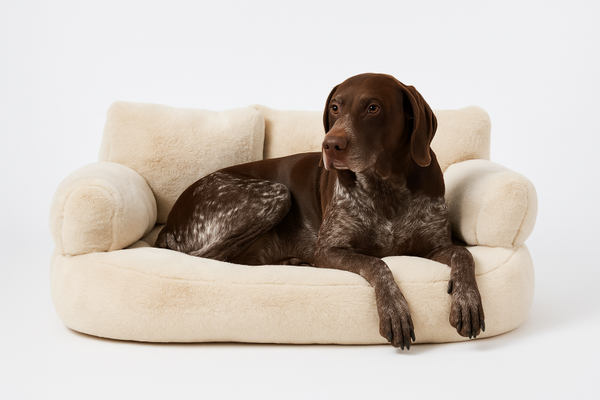 Cama sofá Zenitsu Beige