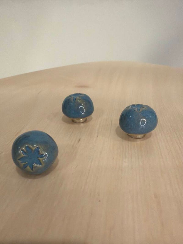 Blueberry Magnets