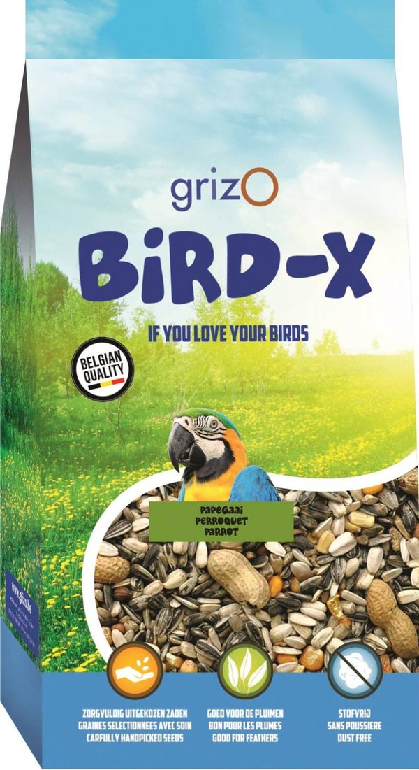 PAPEGAAI MENGELING BIRD-X
