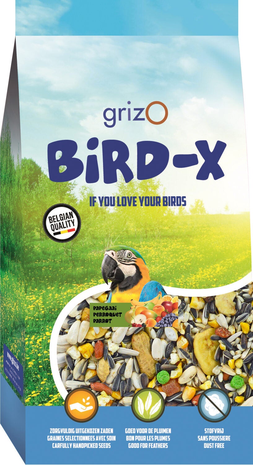 PAPEGAAI MENGELING TROPICAL BIRD-X