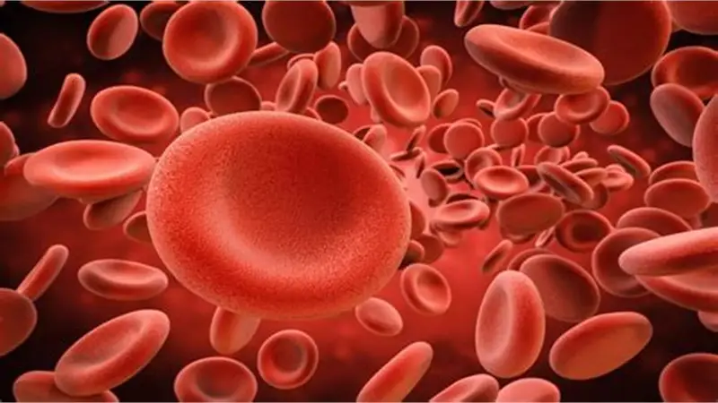  La anemia es una afección común en la que el cuerpo no tiene suficientes glóbulos rojos sanos para transportar oxígeno adecuadamente. Esto puede causar fatiga, debilidad y otros problemas de salud. Prevenir y tratar la anemia es crucial para mantener un 