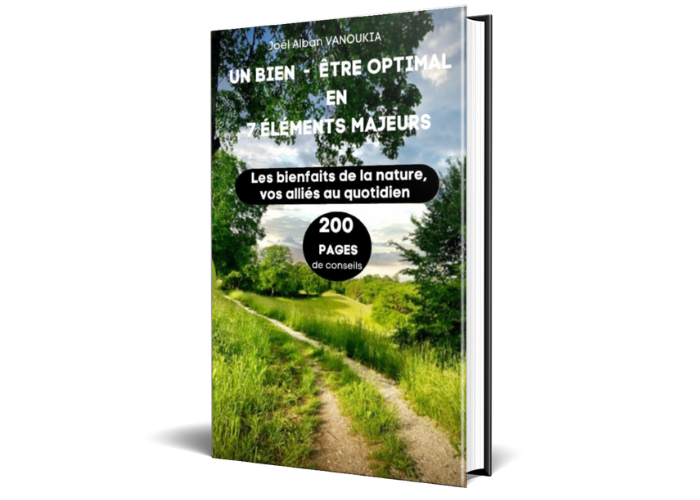 Livre numérique