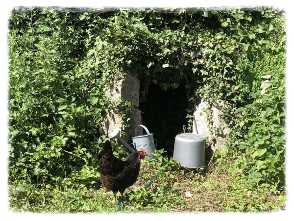 Mooie boerderij met goed draaiende toeristisch bedrijf te koop in de Auvergne