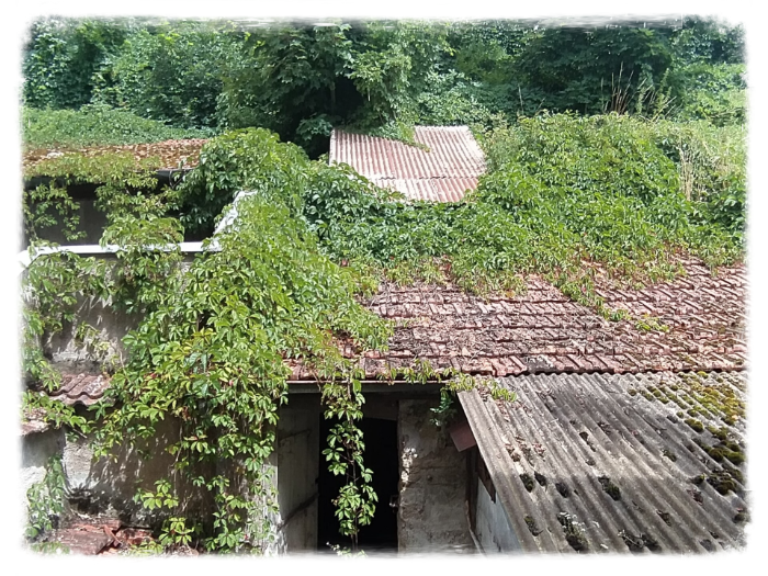 Winkelpand met appartement te koop in de Haute Marne.