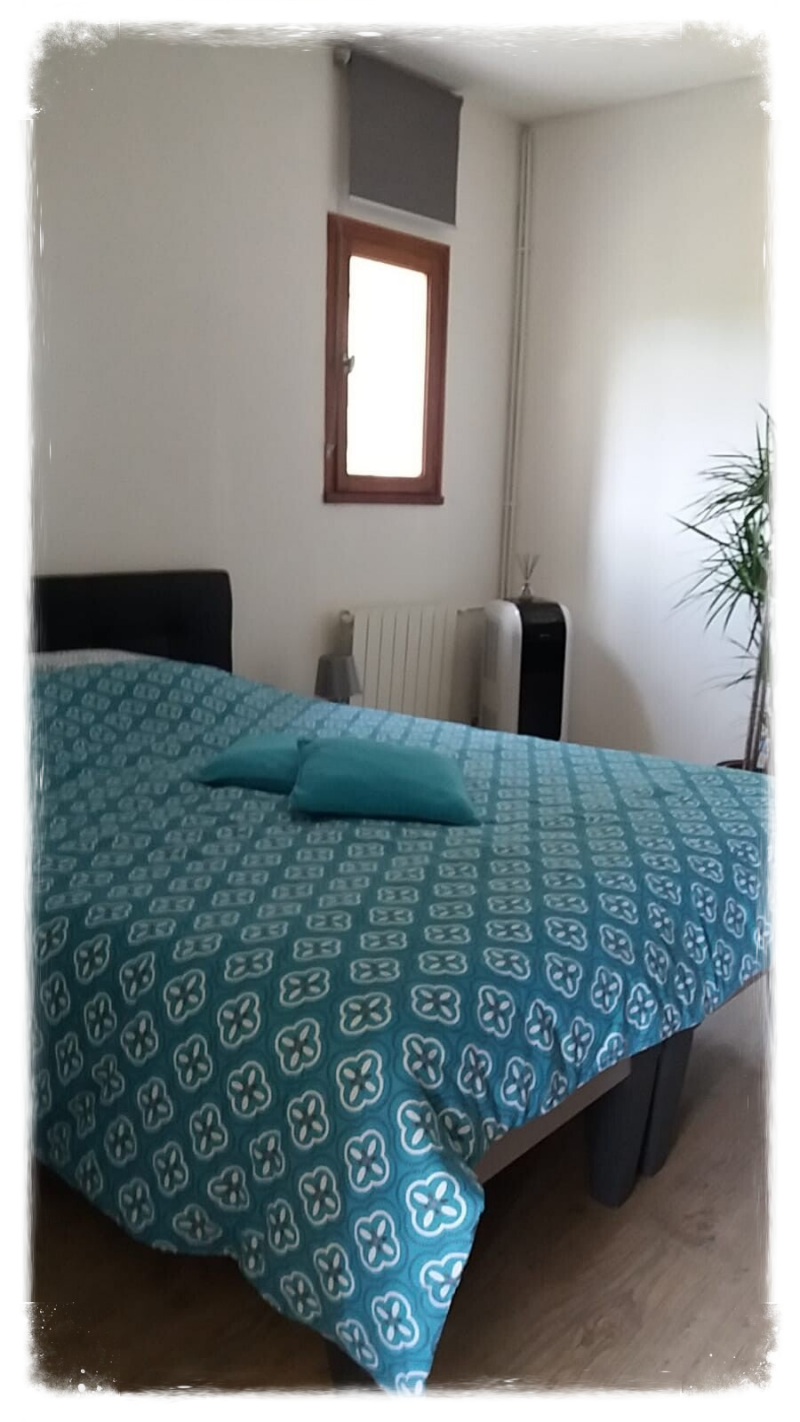 Authentieke Herenhuis te koop in de Haute saône.