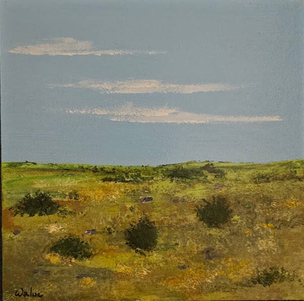 15x15 " Plateau du Larzac en juin 3