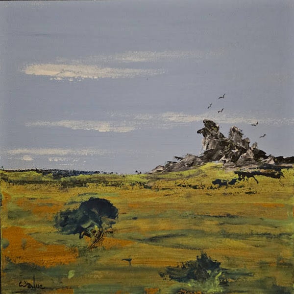 15x15 Rochers sur le Larzac
