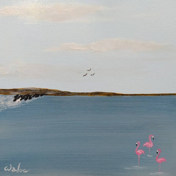 13x13 cm Camargue