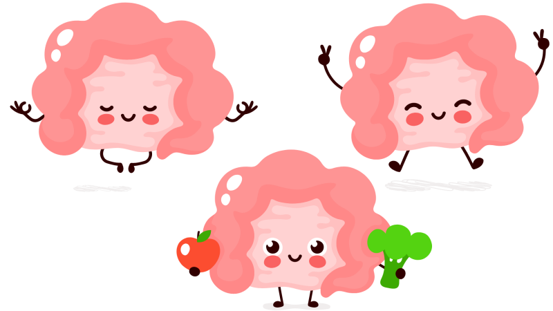 Afbeelding van drie geanimeerde darmen met gezichtjes, voetjes en handjes. 