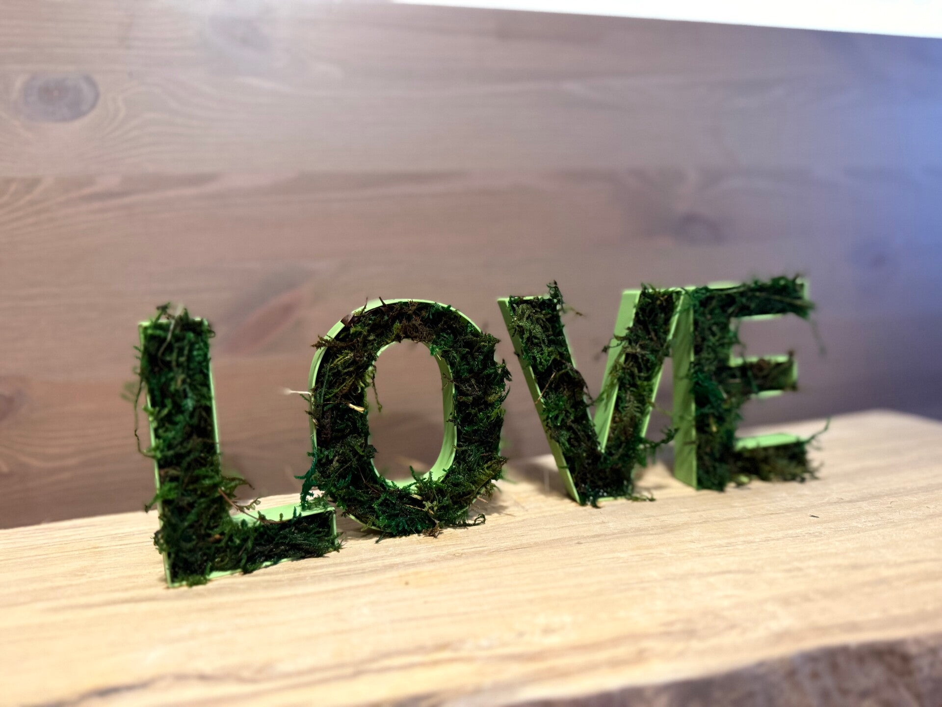 LOVE (mit Moos)