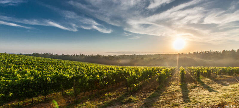 Franse wijn Vignobles Vellas