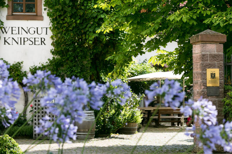Duitse wijn Pfalz Knipser