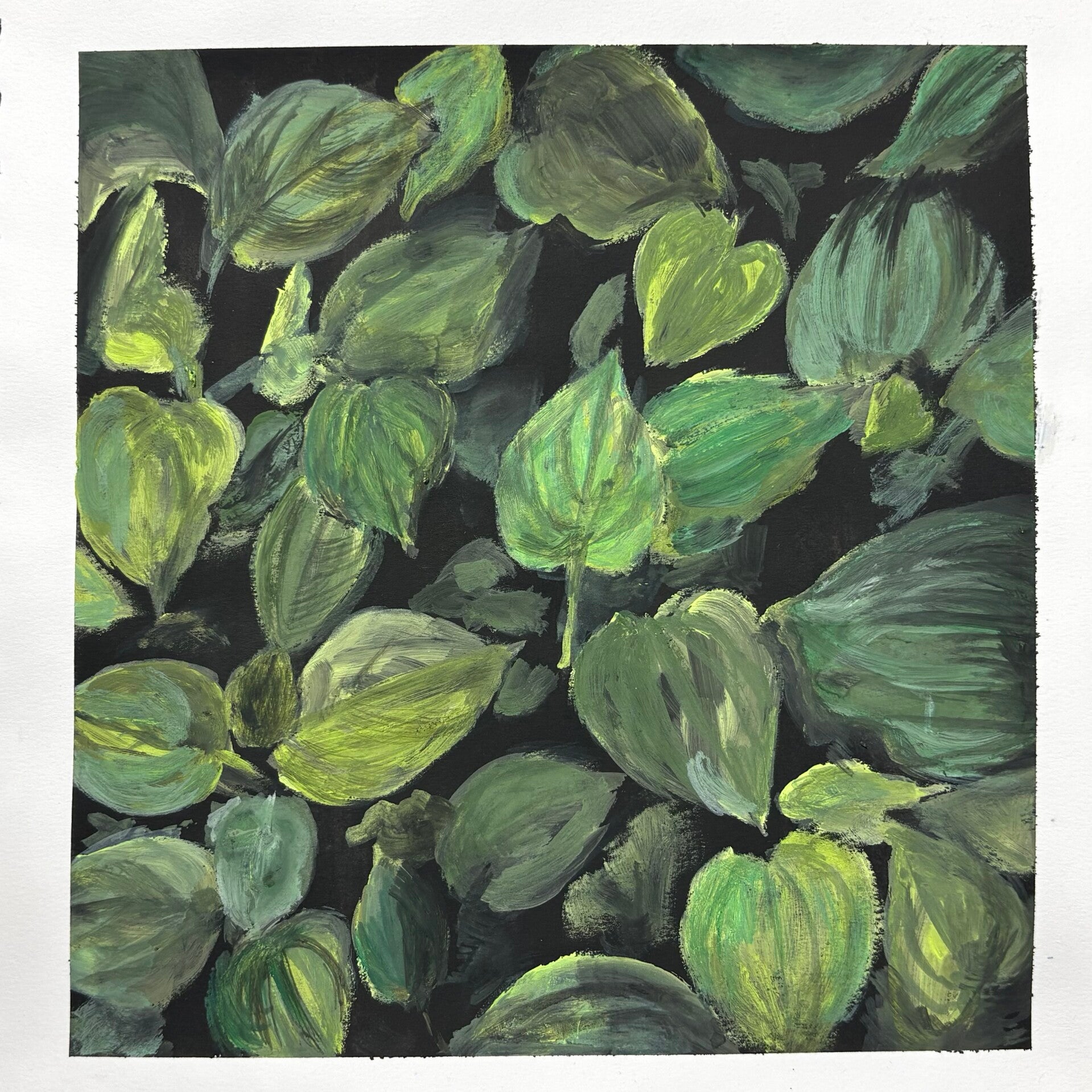 Leaves