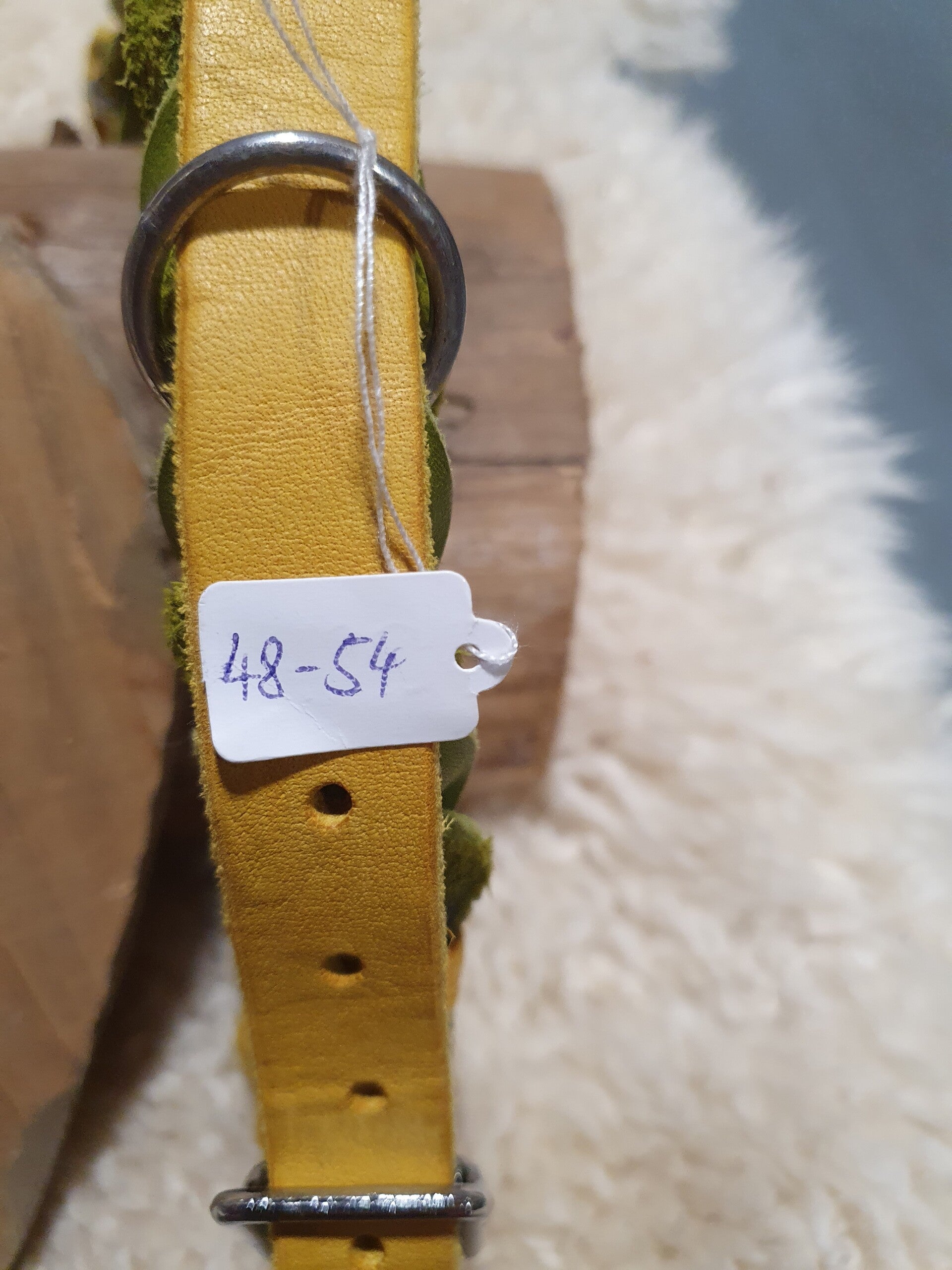 Halsband 2-farbig curry/limette