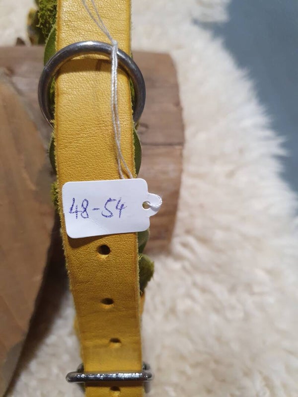 Halsband 2-farbig curry/limette