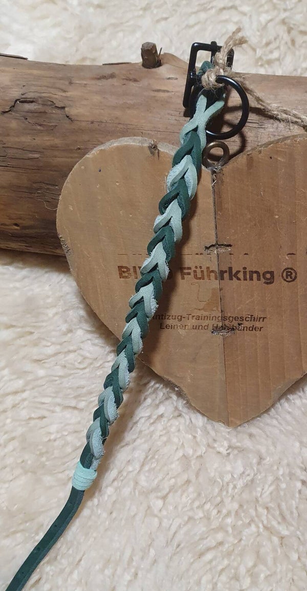 Mini-Halsband grün/mint