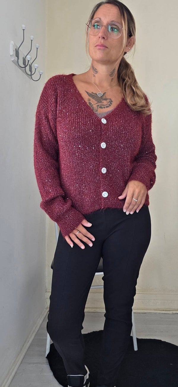 Gilet marron à sequins et fil argenté - Boutons argentés