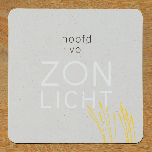 Enkele kaart - hoofd vol zonlicht