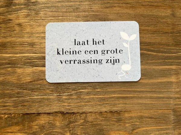 Nu kaartje - laat het kleine..