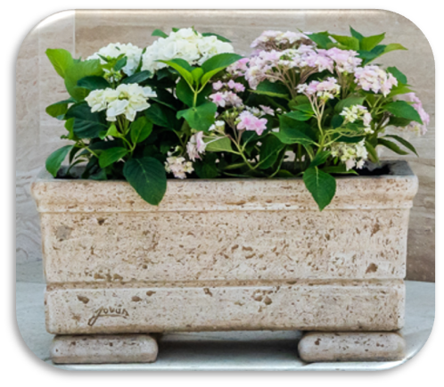 Budapest Lade 75 mit Sockel