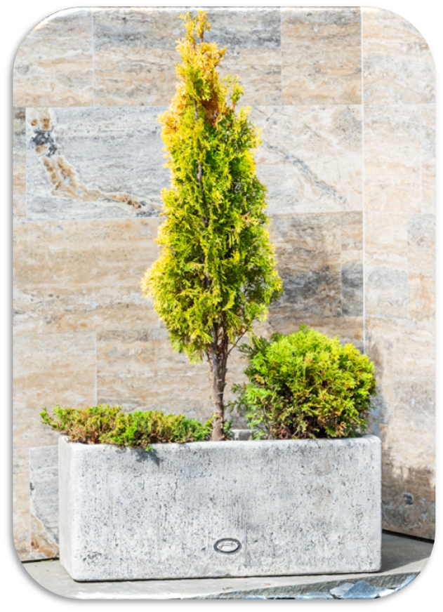 Innova Lade L niedrig