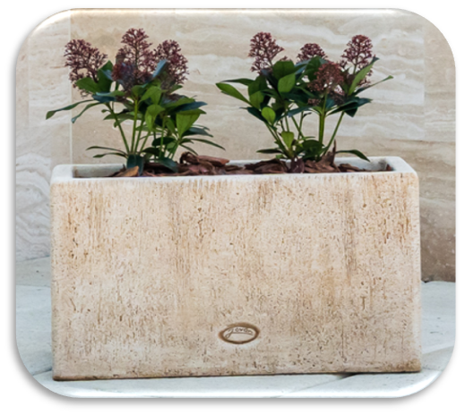 Innova Lade M niedrig