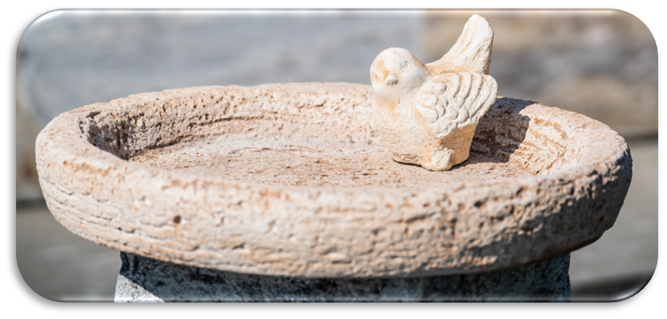 Vogeltränke Meise rund