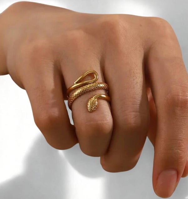 Bague Serpent - Acier inoxydable