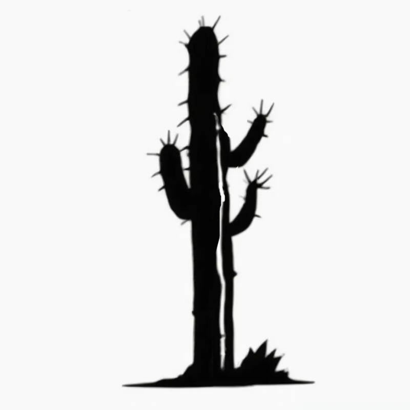 cactus-2-standard.jpg