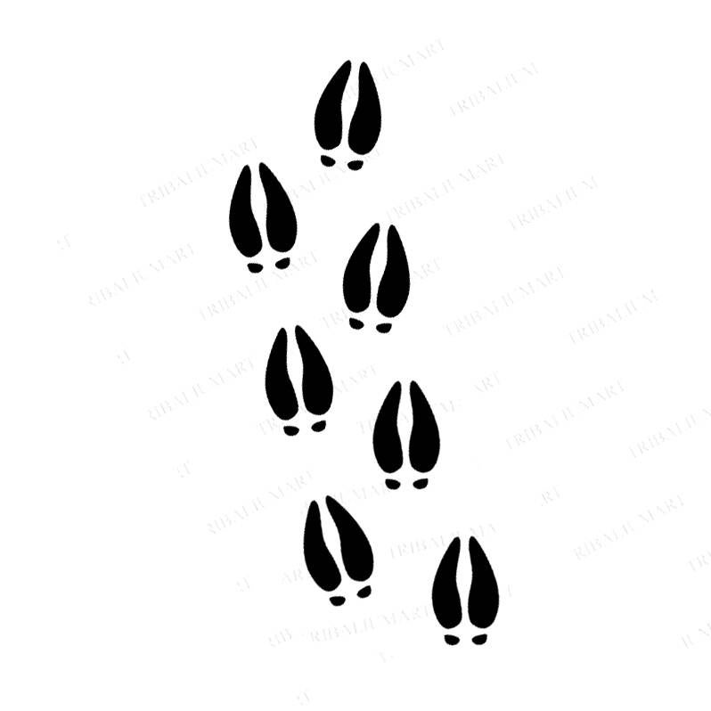 deertracks2-standard.jpg