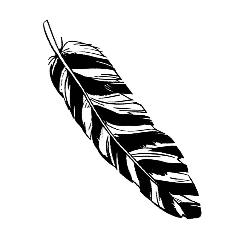 feather-3-standard.jpg