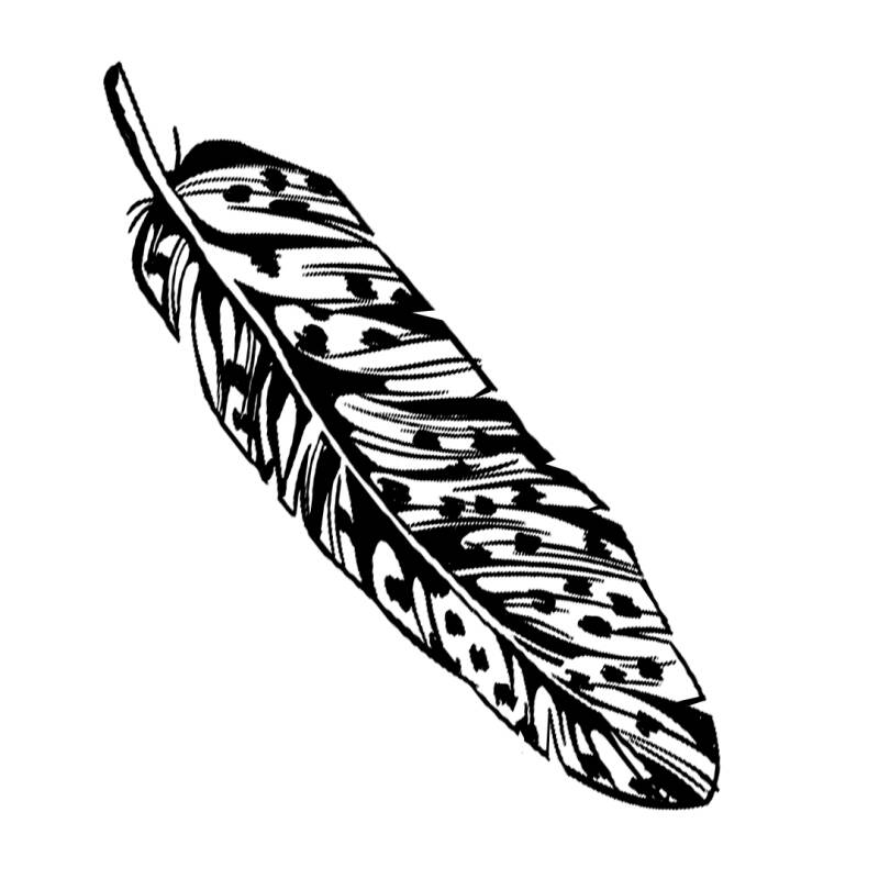 feather-4-standard.jpg