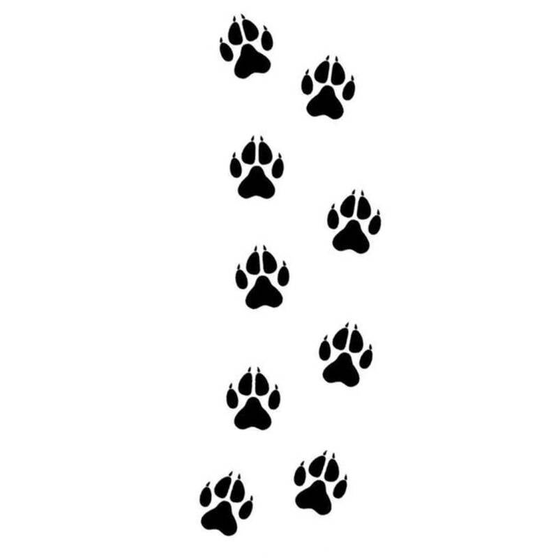 wolftracks-1-standard.jpg