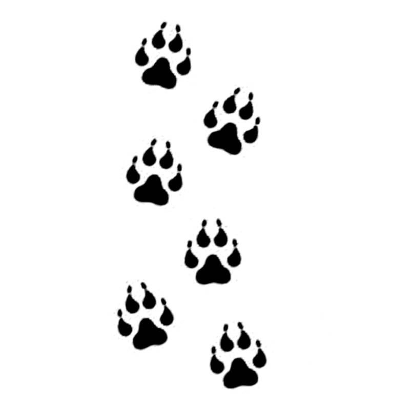 wolftracks-2-standard.jpg