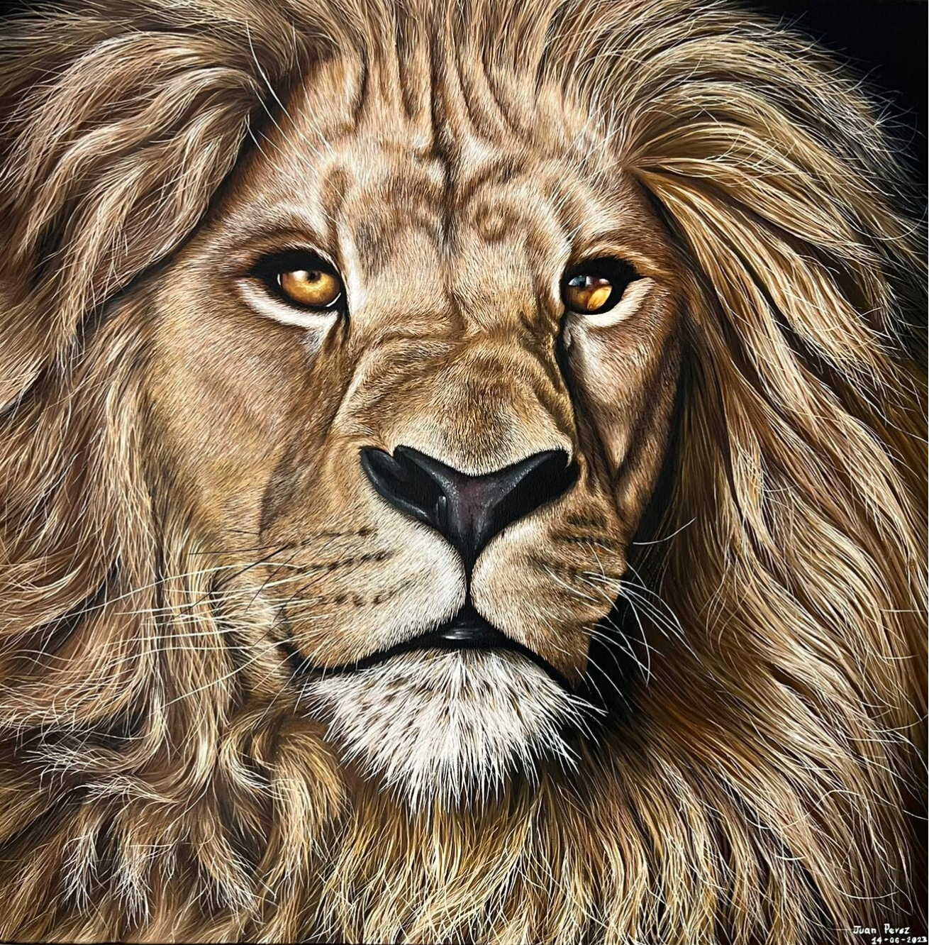 Lion - 40x40cm